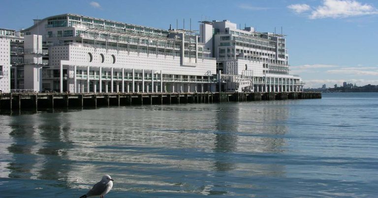 Top Builders Auckland – Delivering Homes of Distinction