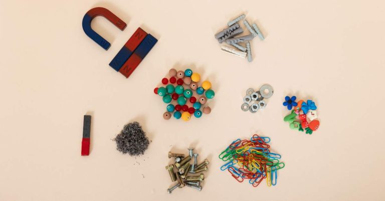 Biology Tuition in Singapore: A Complete Guide for Academic Excellence