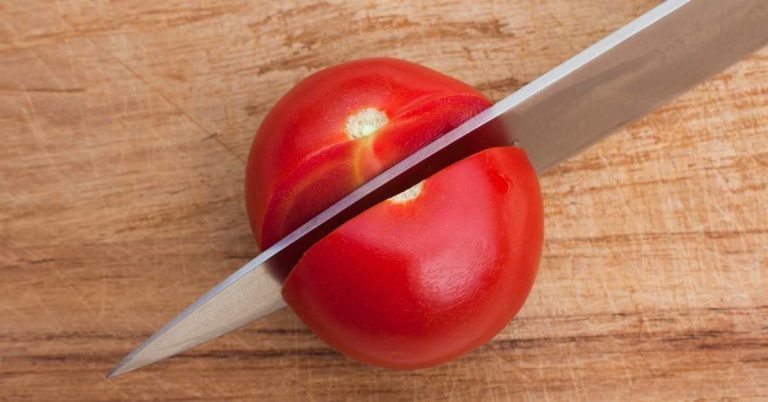 Professional Skinning Knives: A Complete Guide for Hunters and Outdoor Experts